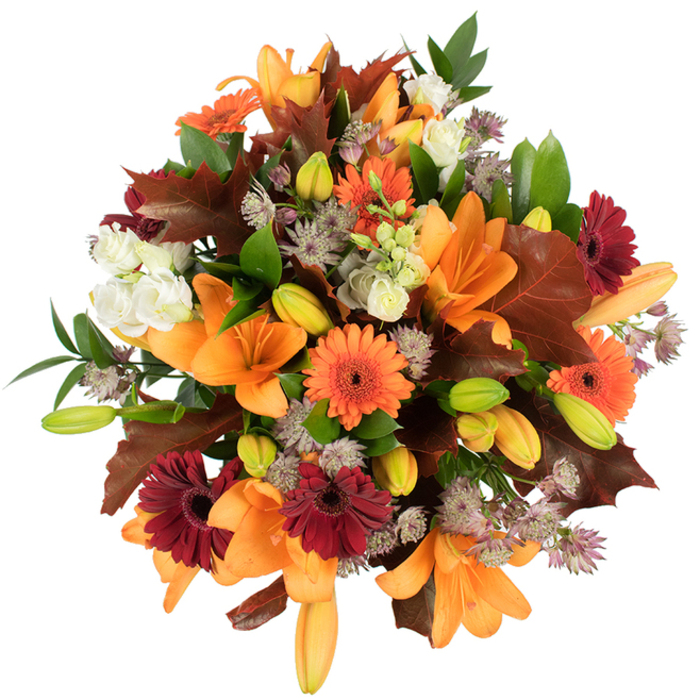 A lush, elevated close-up of a hand-tied autumn bouquet, captured against a stark white backdrop so every petal and leaf is apparent. At the heart of the arrangement are several fully opened orange Asiatic lilies, their broad petals unfurling like small sunsets, while numerous tight buds in pale orange and bright green hint at a second wave of bloom. Vivid orange Gerbera daisies intermix with velvety deep burgundy Gerberas, their radial petals forming lively, joyful faces that play off the lilies' sweeping forms. Soft, ivory Lisianthus with layered, ruffled petals drift through the composition and provide gentle contrast, and clusters of muted purple Astrantia introduce an airy, starry texture that lightens the bouquet's density. Prominent chestnut and reddish-brown oak-like leaves are artfully placed to echo a woodland floor, their lobed edges and pronounced veins adding seasonal drama and authenticity. Fresh green foliage and slim stems thread through the arrangement, supplying movement and botanical structure to the rounded, compact shape. The lighting is bright and even, producing crisp highlights and soft shadows that emphasise texture and colour: vibrant oranges, deep reds, warm browns, creamy whites, and cool greens. As a florist working in Gospel Oak, I picture this arranged at our bench after sourcing late-season stems on a morning walk past Gospel Oak station and Mansfield Road, ready for delivery to a nearby home or for a Thanksgiving-style centrepiece. Crafted with care, this bouquet radiates warmth, harvest celebration, and a comforting, woodsy scent-a seasonal gift that feels both festive and deeply rooted in local character from Gospel Oak Flowers.