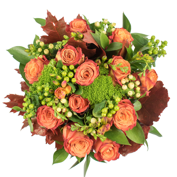 Carefully photographed from above on a crisp white background, this lavish autumn bouquet reads like a small, cultivated wood in full colour. The focal point is a cluster of large roses, petals unfurling from warm, soft peach and coral centres into deeper orange and russet-tinged outer edges, each blossom showing a gentle two-tone gradient that catches the eye. Interspersed between the roses are hypericum berries in two tonalities-vivid lime green and pale creamy yellow-whose smooth, spherical shapes provide lively punctuation and textural contrast. Verdant cushions of green trick dianthus nestle close to the blooms, their dense, moss-like tufts giving a tactile softness that contrasts with the roses' satin petals. Supporting foliage ranges from glossy fresh greens that add shine to the composition, to broad, lobed leaves in rich burgundy and brown that mimic fallen oak or maple leaves and strengthen the arrangement's autumnal story. The lighting is soft and even, revealing the subtle velvety texture of the roses and the gloss on the berries while casting gentle shadows that define depth. Aromatically, imagine a faint, earthy undercurrent-moss and cut stems mingling with the roses' warm sweetness-like the scent of Hampstead Heath on an October morning. As a local florist crafting seasonal pieces for Gospel Oak residents near the station and Kentish Town Road, I see this as an ideal centrepiece for Thanksgiving, a warming gift for new neighbours, or a statement for cosy home gatherings.