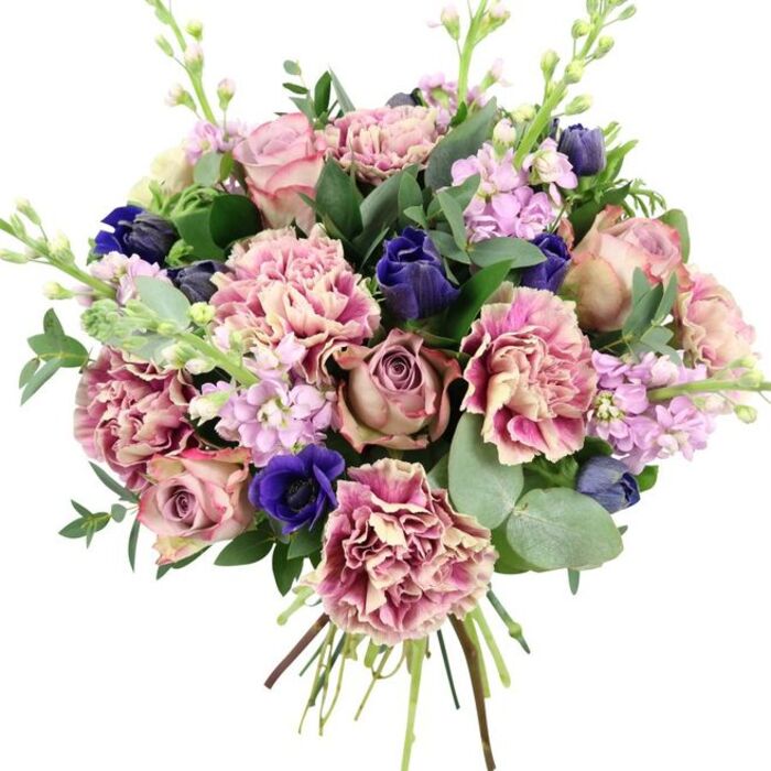 Photographed against a clean white backdrop, this bouquet appears freshly hand-tied, its stems gathered neatly at the base and its flowers spiralling outward in a full, rounded dome. At its core, several large garden roses in shades of blush pink, dusky mauve, and antique rose bloom fully, their layered petals forming tight, elegant swirls that speak of classic romance and careful cultivation. Nestled among them, frilly carnations add generous texture, their soft petals shifting from creamy and pale at the centres to warmer blush and finally to deeper plum or fuchsia at the edges, creating a gentle, painterly effect. Cooler tones add drama and depth: an open royal blue anemone with an almost inky black centre sits prominently toward the lower edge, while smaller buds in intense indigo, reminiscent of tulips or compact anemones, repeat this striking hue and prevent the arrangement from feeling overly sweet. Fine stems of lilac and pale lavender stock rise delicately through the bouquet, each lined with numerous tiny blossoms that lend vertical movement and suggest the soft, powdery scent often carried on breezes across Gospel Oak and Parliament Hill Fields in spring. The flowers are supported by a harmonious mix of foliage, including deep green, slightly glossy leaves and rounded discs of silvery eucalyptus that arc gracefully outward, adding freshness, structure, and a contemporary touch. The visible tied stems remind you this is a fresh, hand-crafted design, just as it might appear leaving a Gospel Oak florist for delivery to a home near Highgate Road or a quiet flat tucked off Oak Village. The overall mood is one of refined elegance and gentle emotion, suitable for romantic occasions, thoughtful birthdays, and heartfelt messages of support.